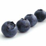 Bilberry