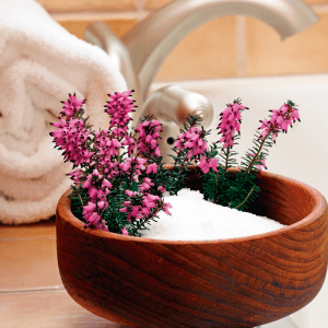 epsom_salt, Epsom Salt Benefits